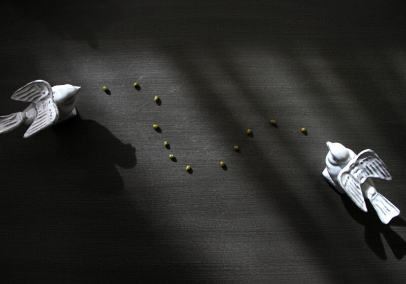 サイトを改修したこととその意味