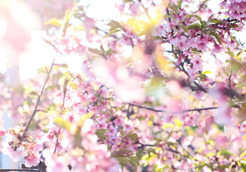 整えることから、はじまる。