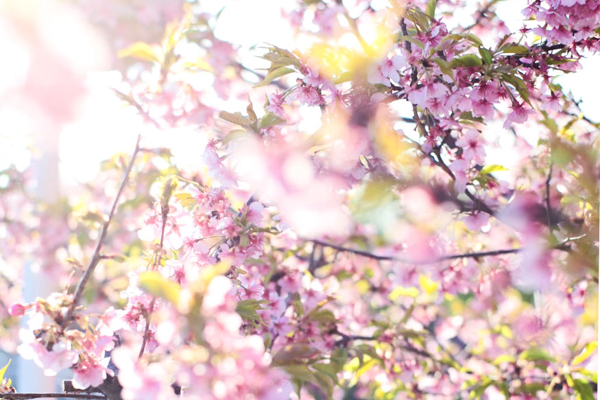 整えることから、はじまる。